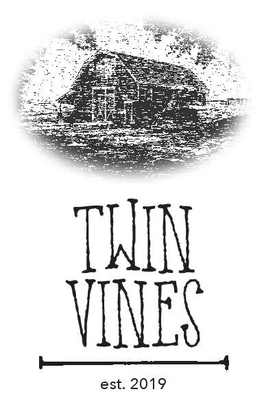 Twin vines top